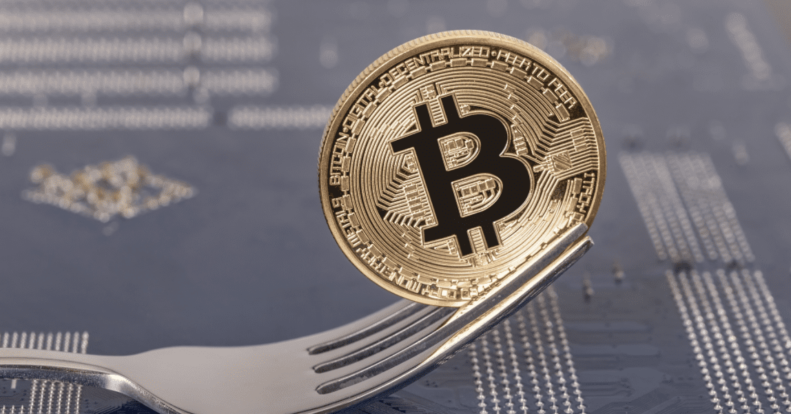 What was 2020 like for Bitcoin forks?